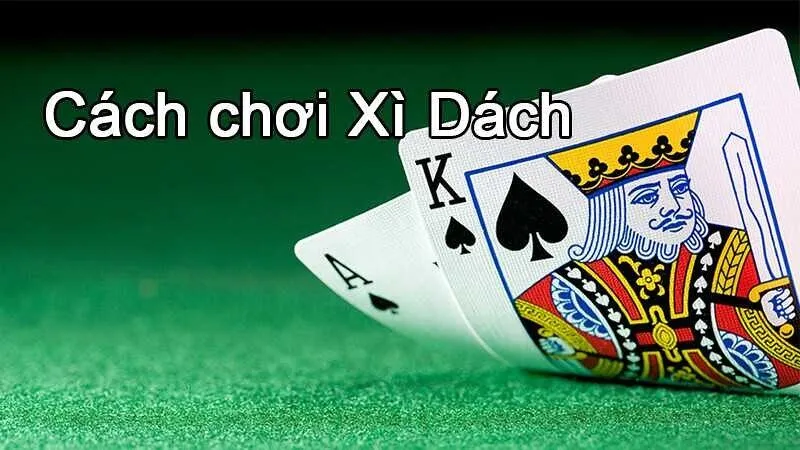 Các bước tạo tài khoản Maxclub